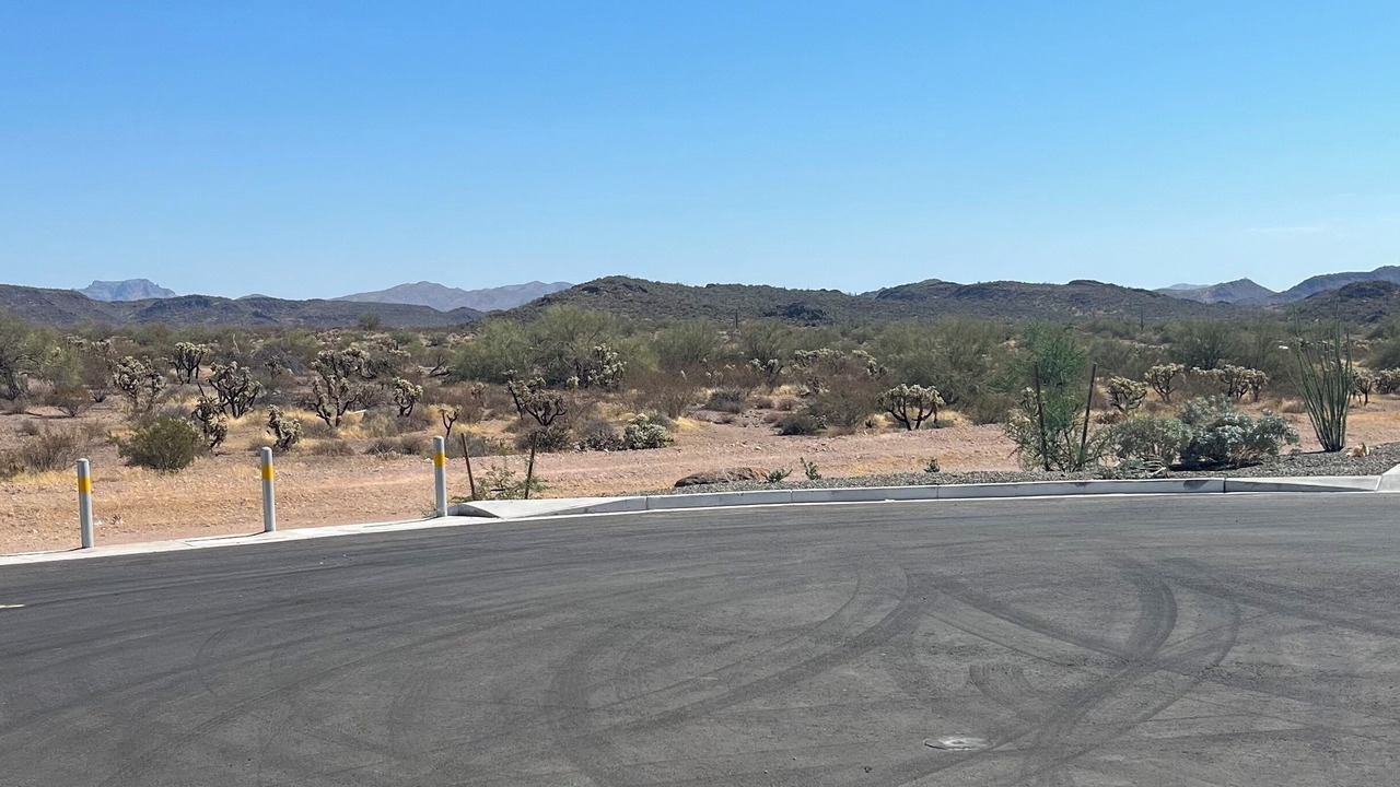 Photo of Others in Gold Canyon
