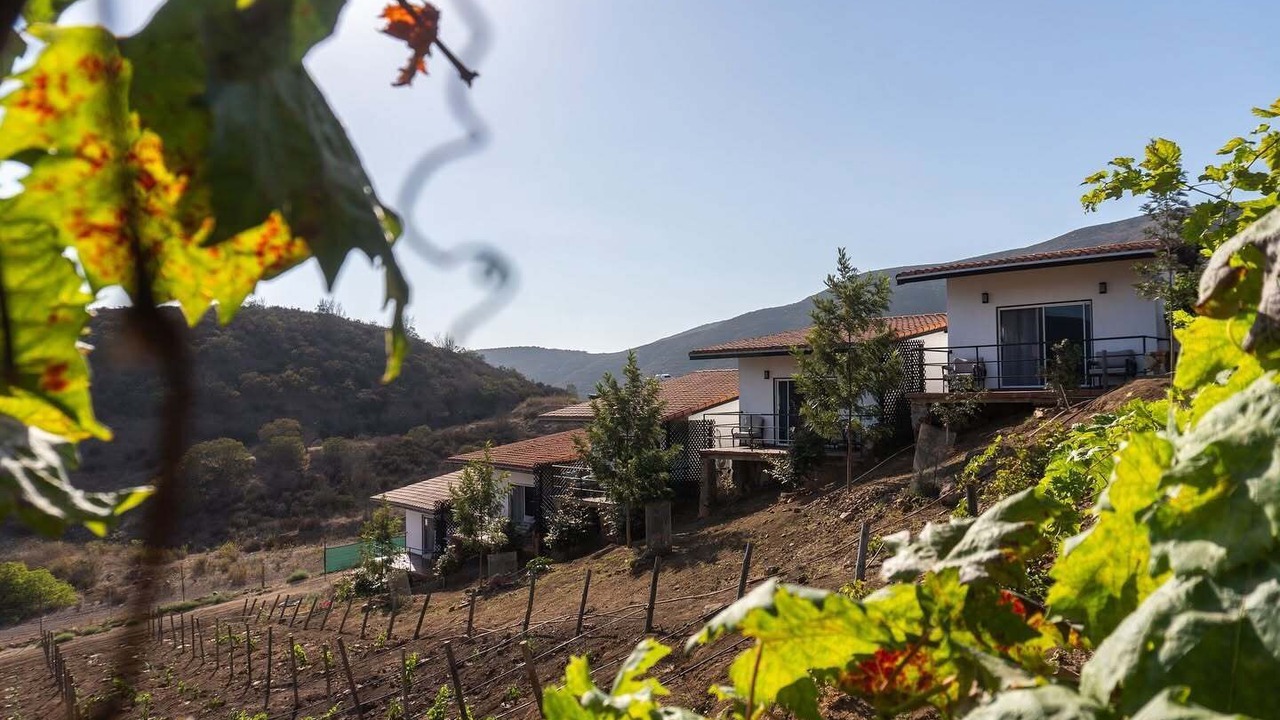 Photo of Outdoor in El Sauzal