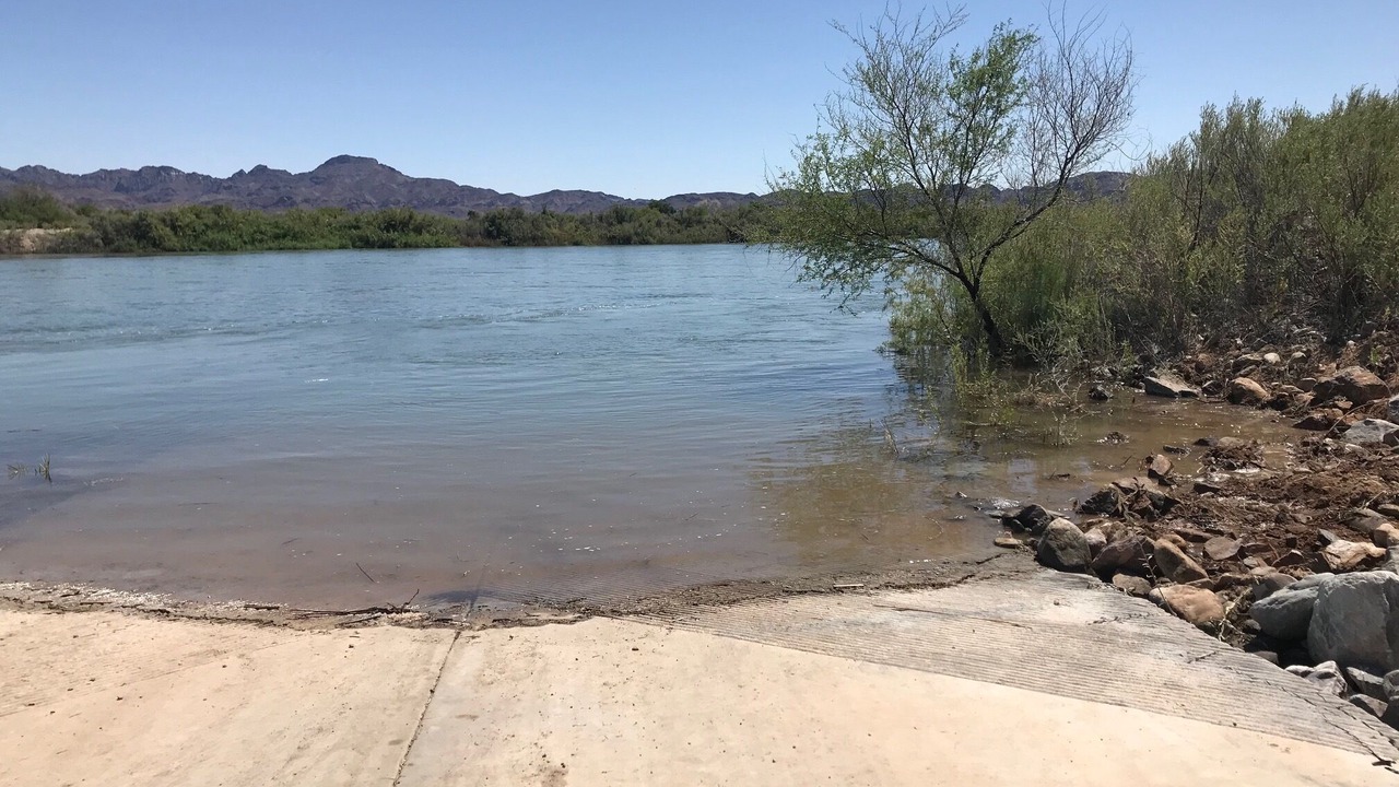 Photo of Others in Palo Verde