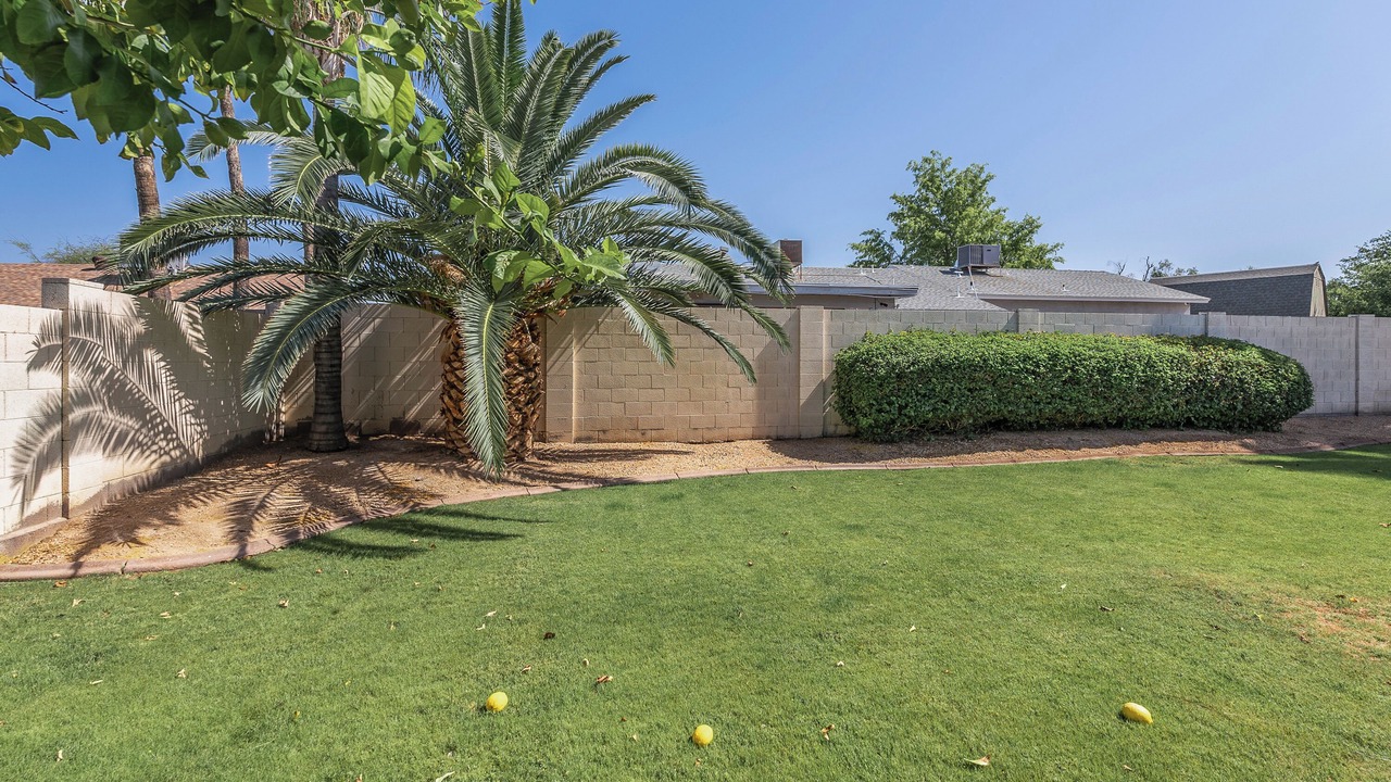Photo of Outdoor in Covey