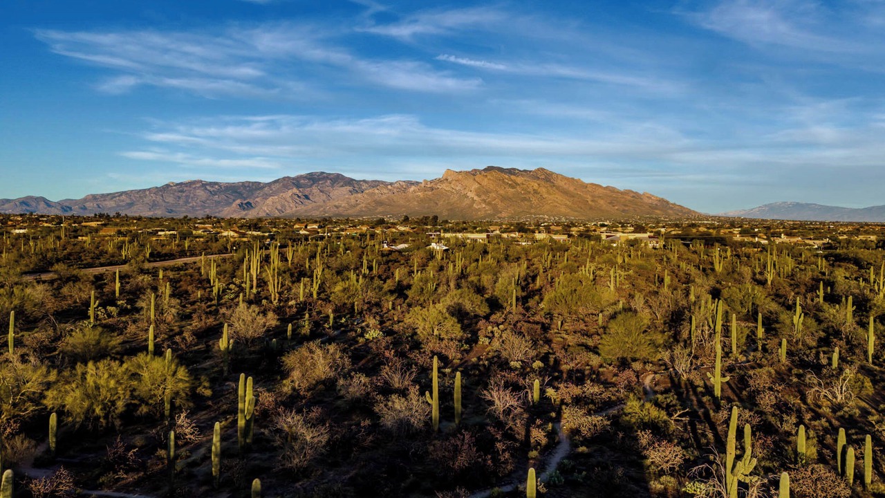 Photo of Outdoor in Tucson