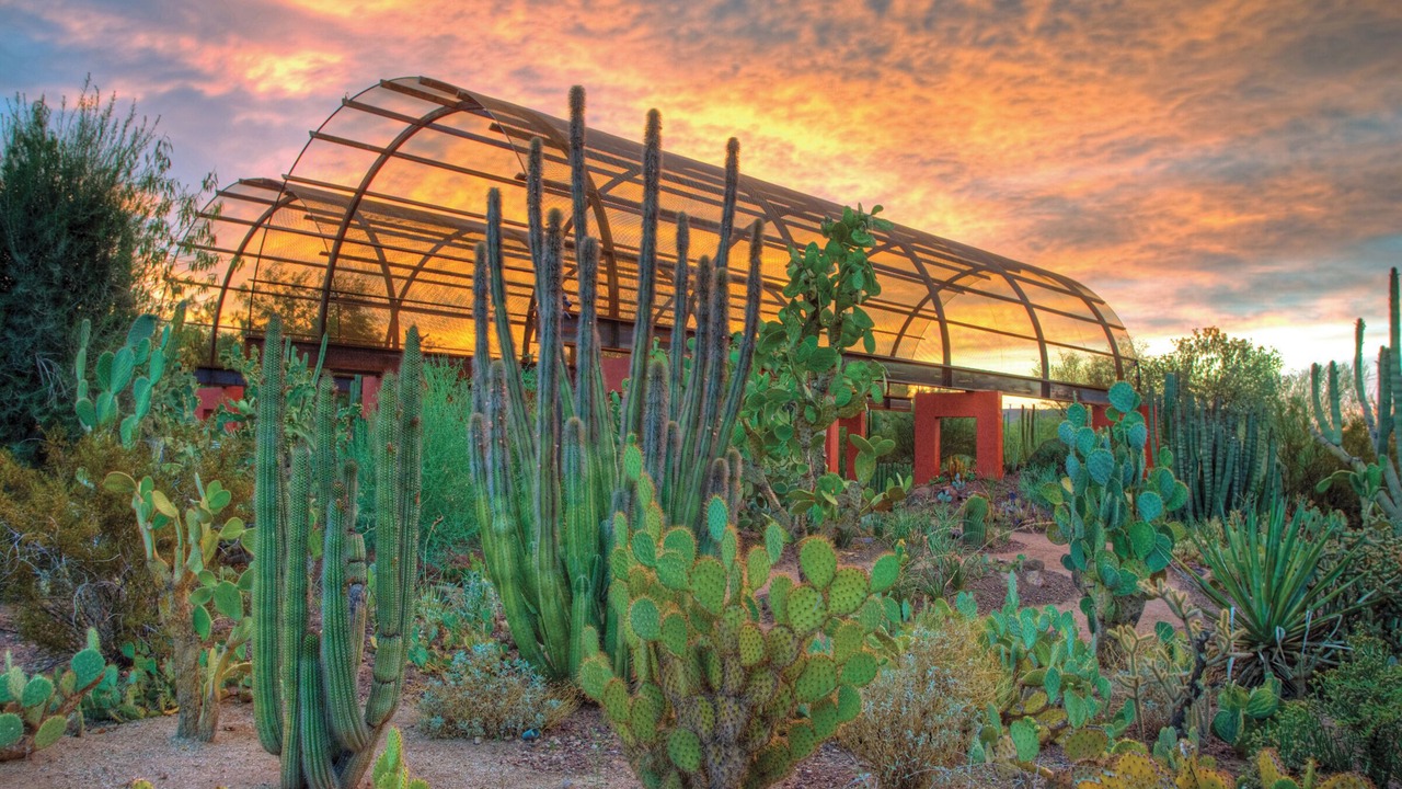 Photo of Outdoor in Thunderbird Desert Estates