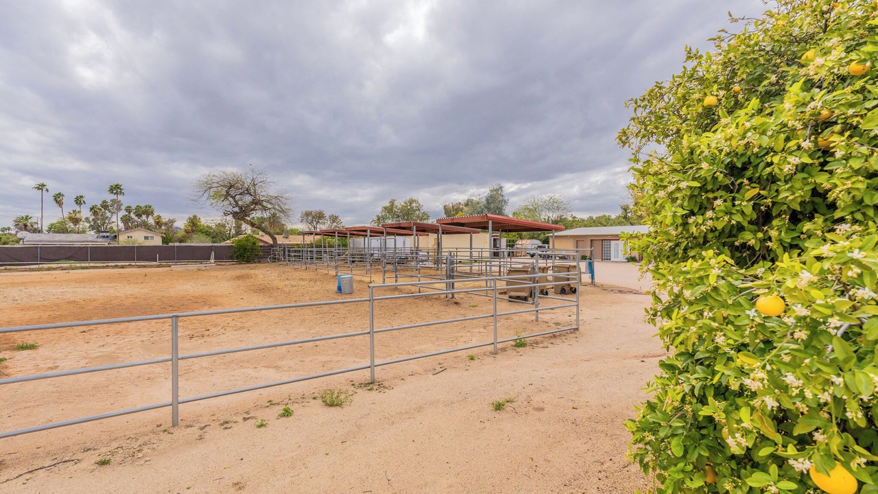 Photo of Outdoor in Thunderbird Desert Estates