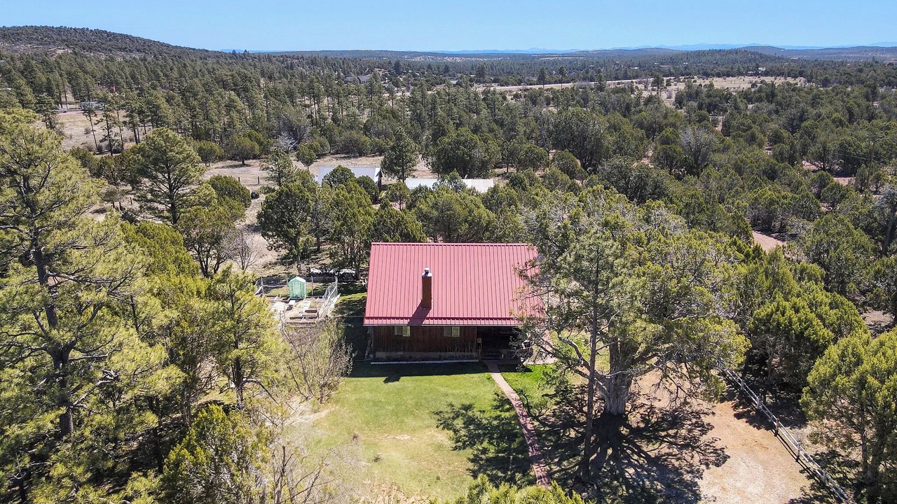 Photo of Outdoor in Clay Springs