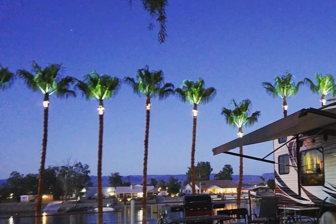 Photo of Outdoor in Needles