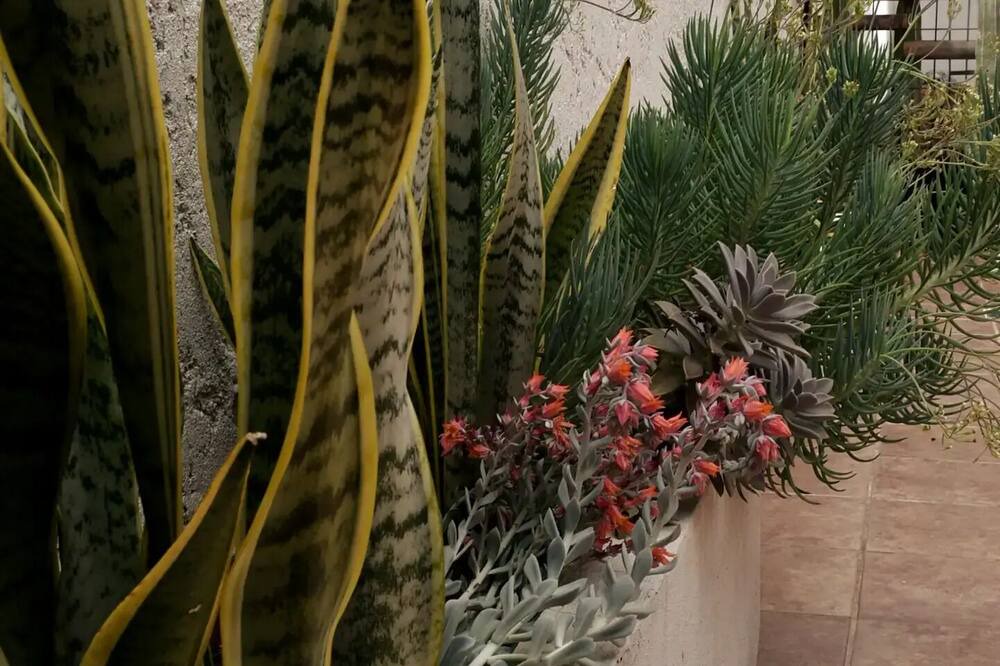 Photo of Outdoor in San Luis Potosi