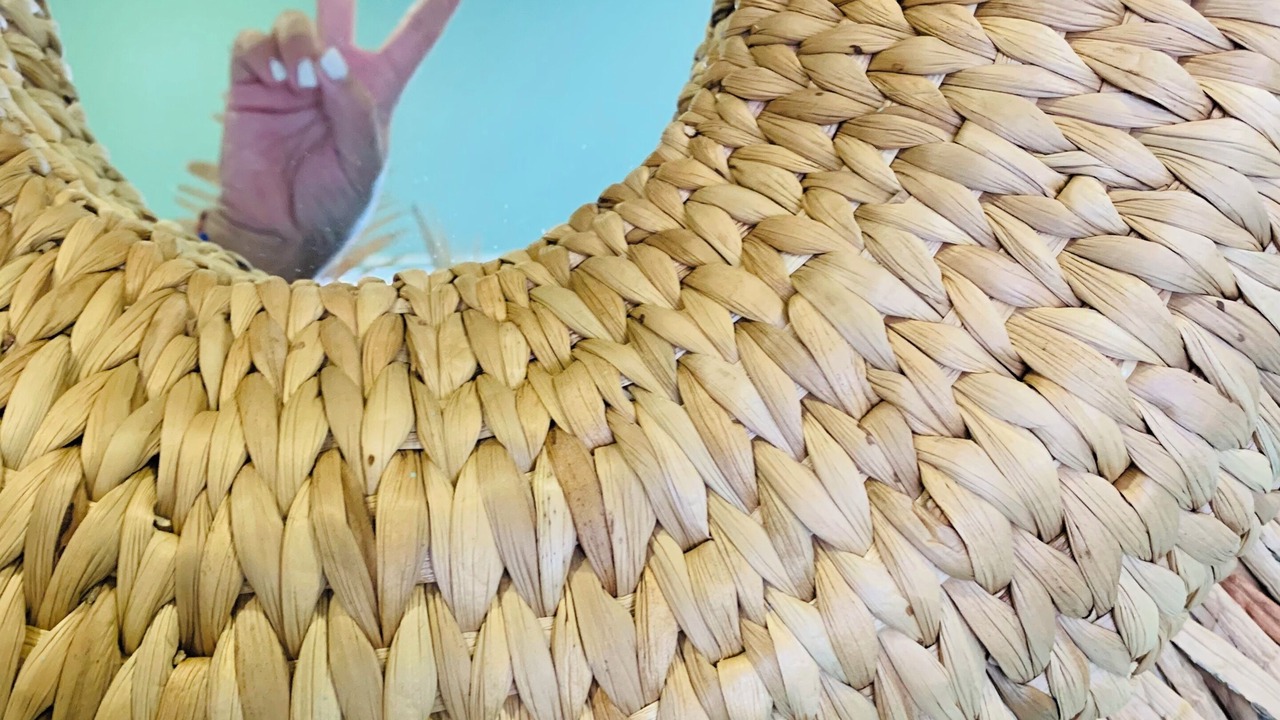 Photo of Others in Centro