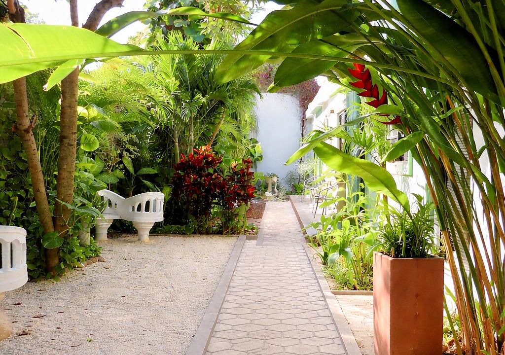 Photo of Outdoor in Centro