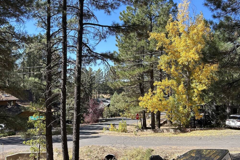 Photo of Others in Munds Park