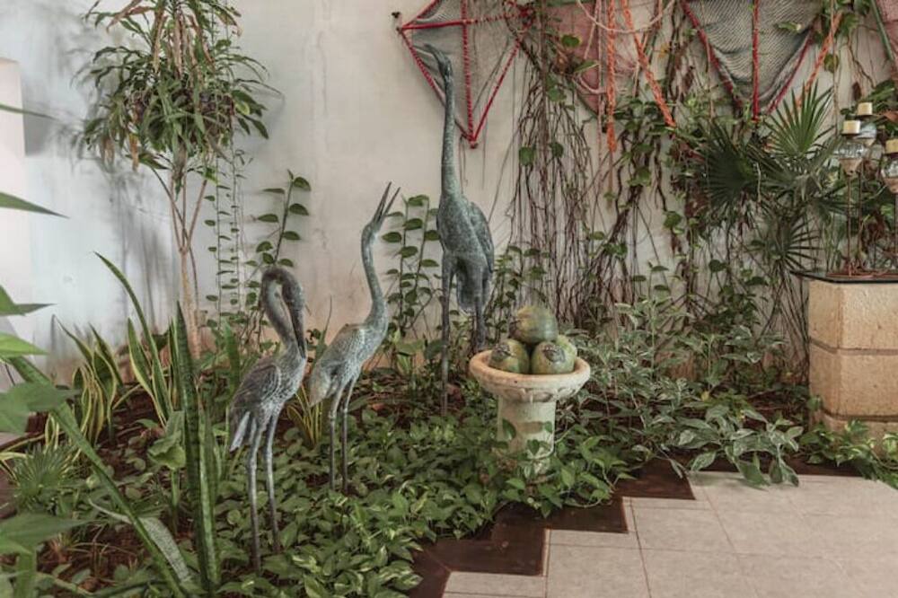 Photo of Outdoor in Chicxulub Puerto