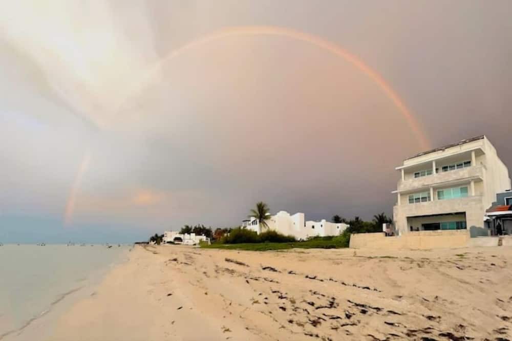 Photo of Others in Chicxulub Puerto