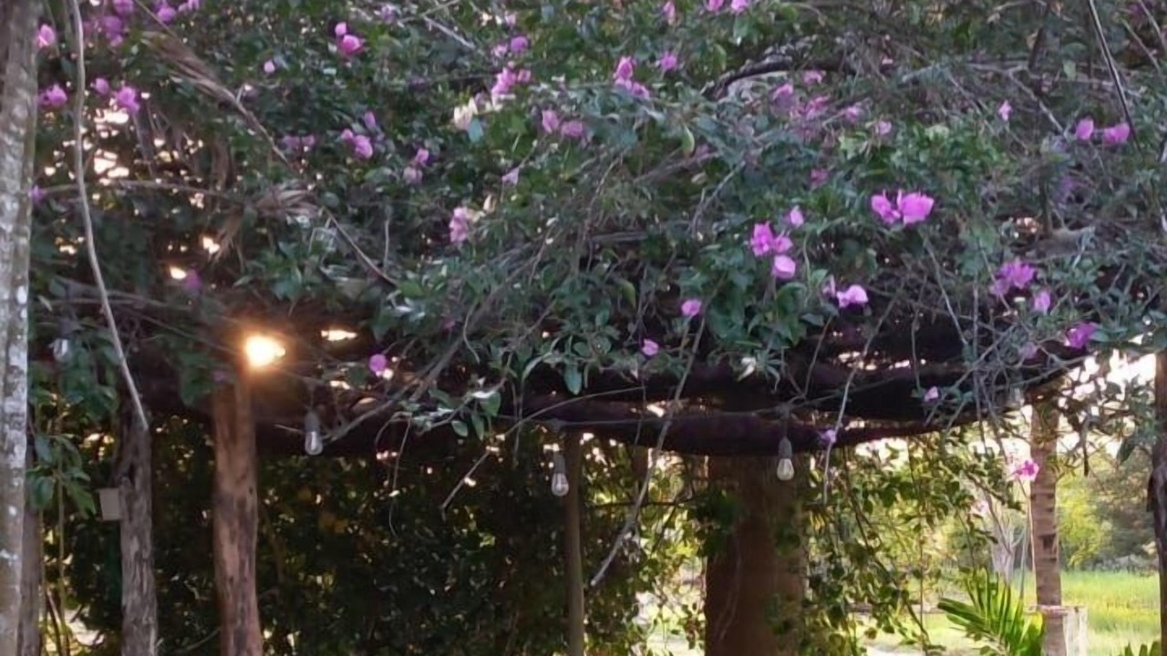 Photo of Outdoor in Izamal