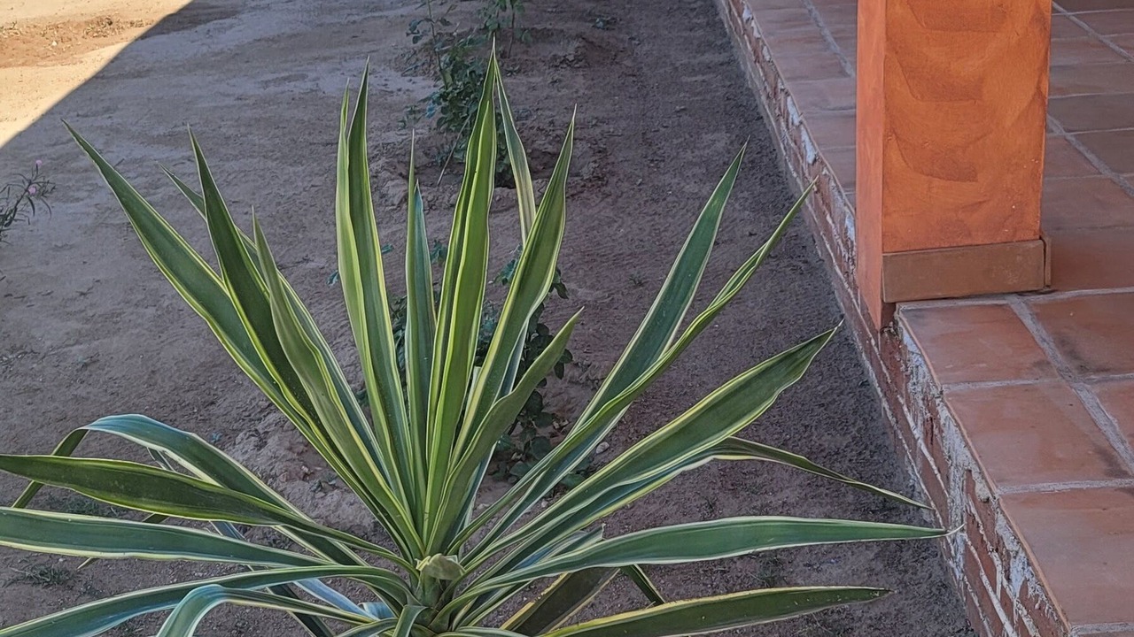 Photo of Outdoor in Sinaloa