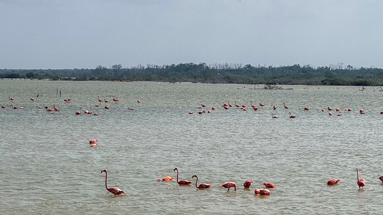 Photo of Outdoor in El Cuyo