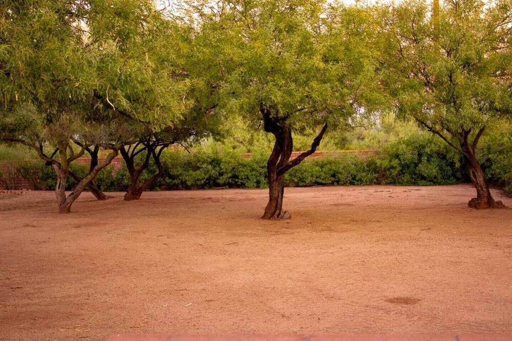 Photo of Outdoor in Sahuarita