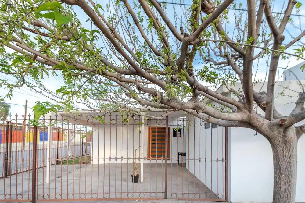 Photo of Outdoor in Chihuahua