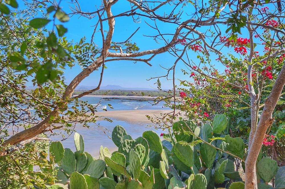 Photo of Outdoor in Punta Prieta