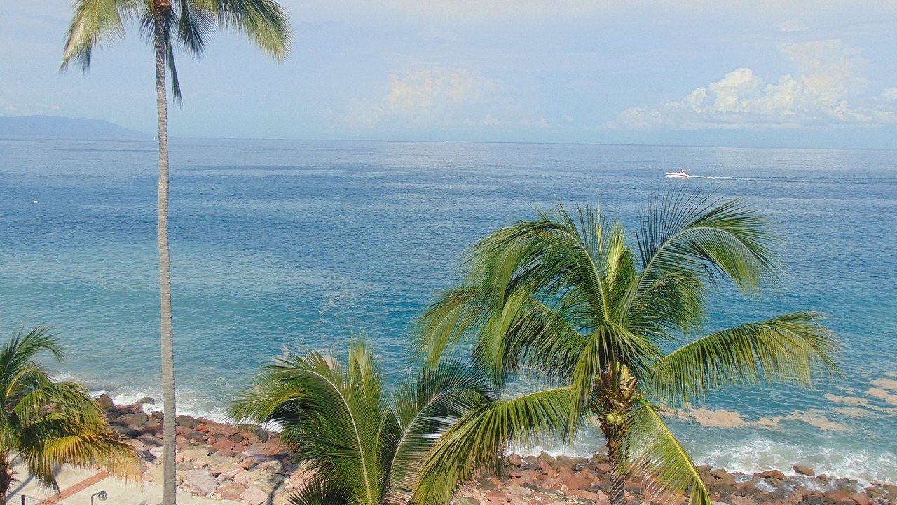 Photo of Others in Downtown Puerto Vallarta