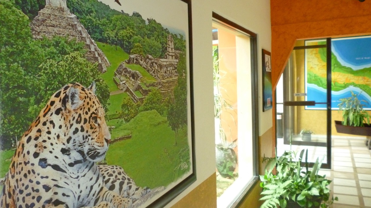 Photo of Others in Palenque