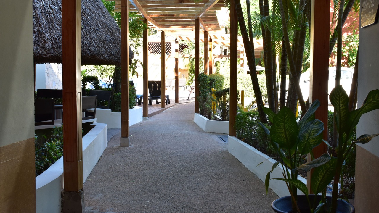 Photo of Others in Palenque
