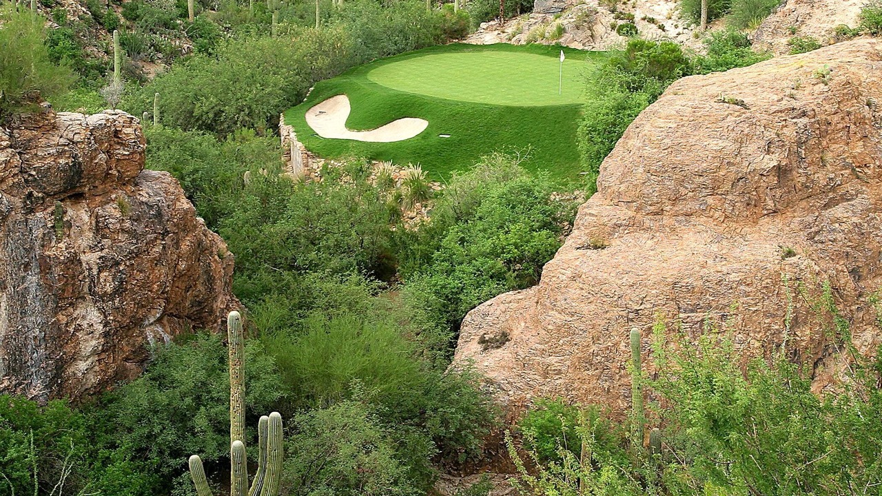 Photo of Others in Tucson