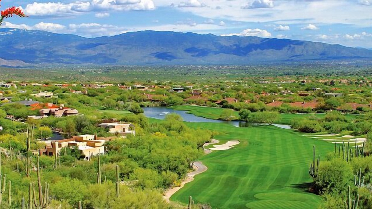 Photo of Others in Tucson