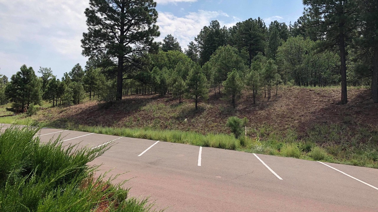 Photo of Outdoor in Williams
