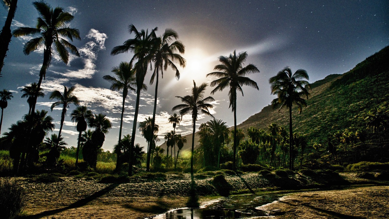 Photo of Outdoor in Todos Santos