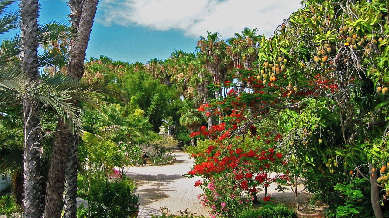 Photo of Others in Todos Santos