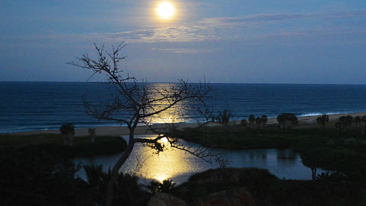 Photo of Others in Todos Santos