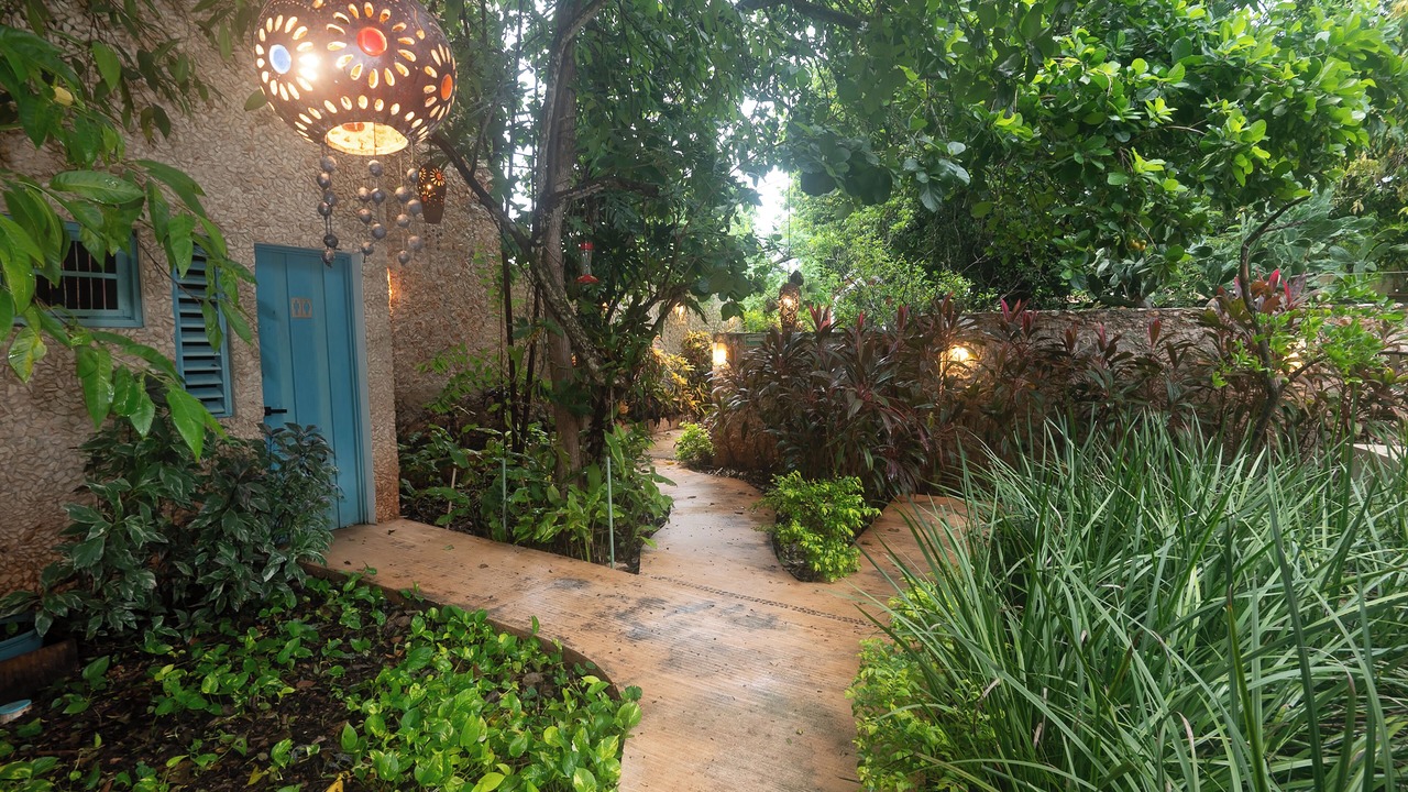 Photo of Outdoor in Valladolid