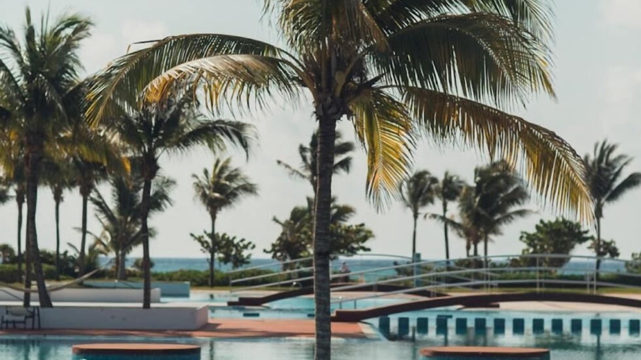 Photo of Outdoor in Puerto Juarez
