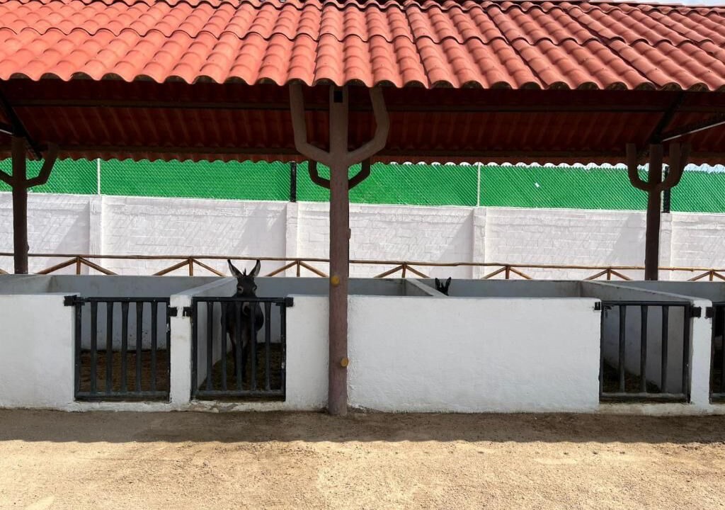 Photo of Outdoor in Hermosillo