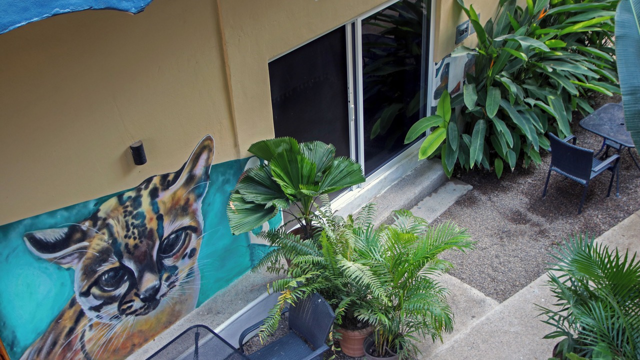 Photo of Outdoor in Chacala