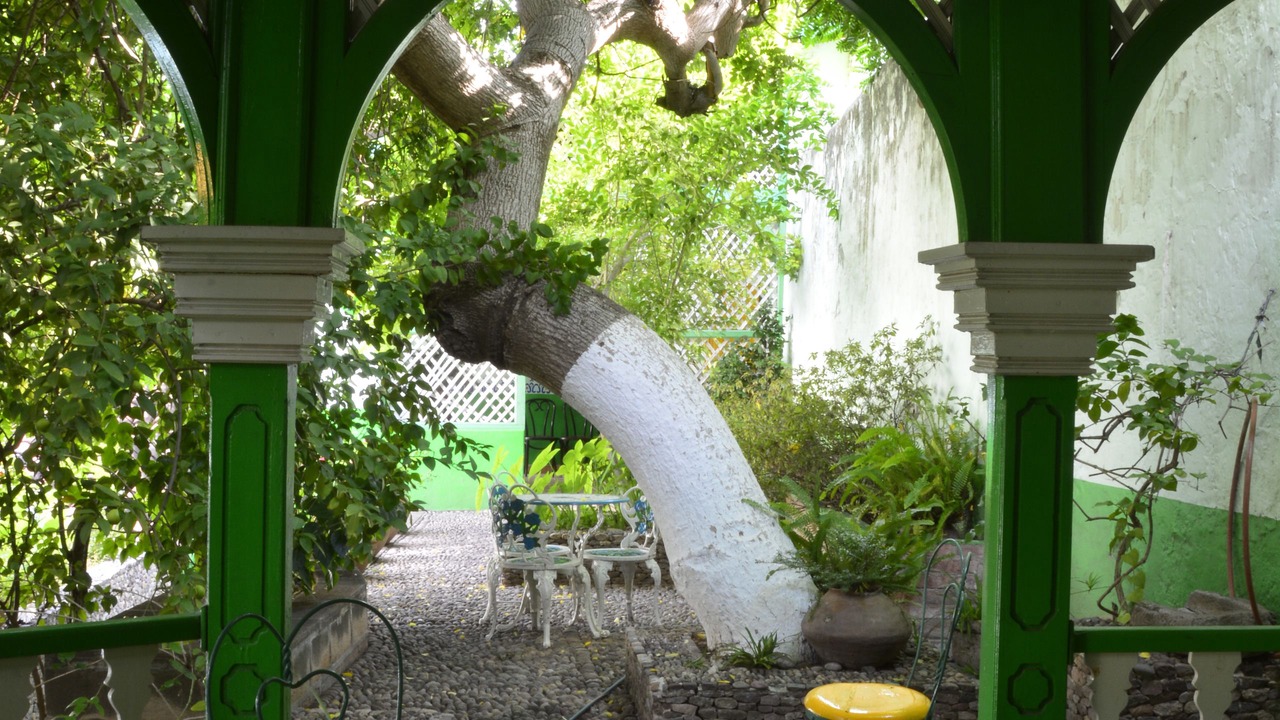 Photo of Outdoor in Batopilas