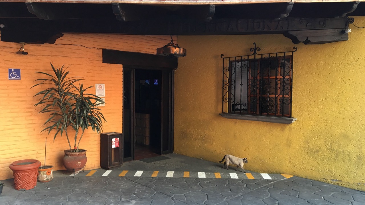 Photo of Buildings in Cuauhtemoc