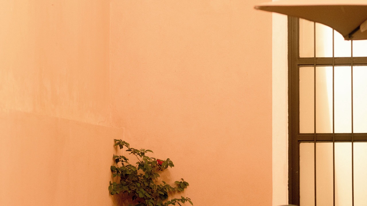 Photo of Bathroom in Lagos de Moreno