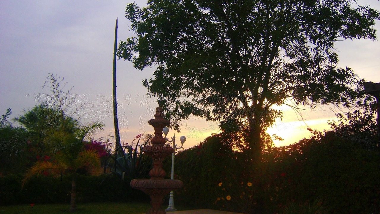 Photo of Outdoor in Salamanca