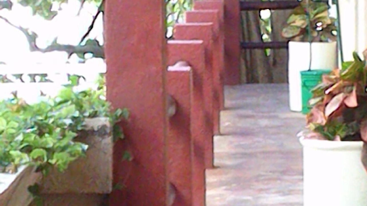 Photo of Patio Balcony in Colonia Centro