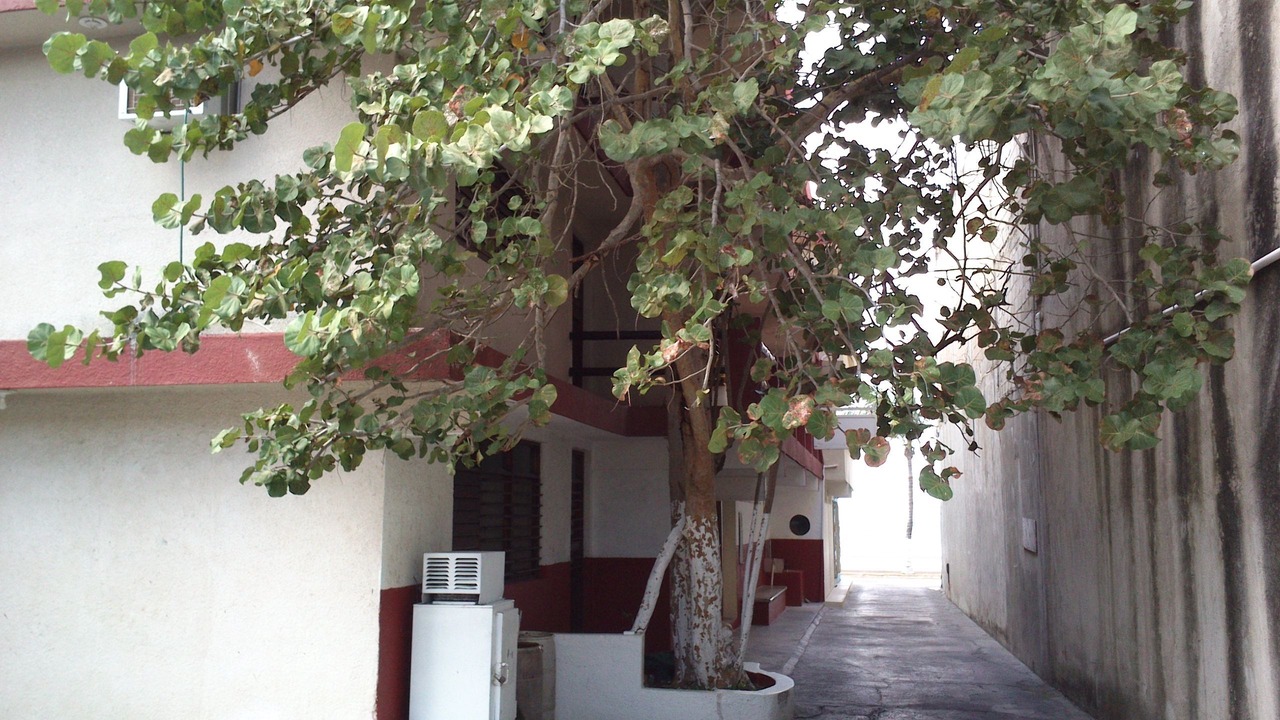Photo of Outdoor in Colonia Centro