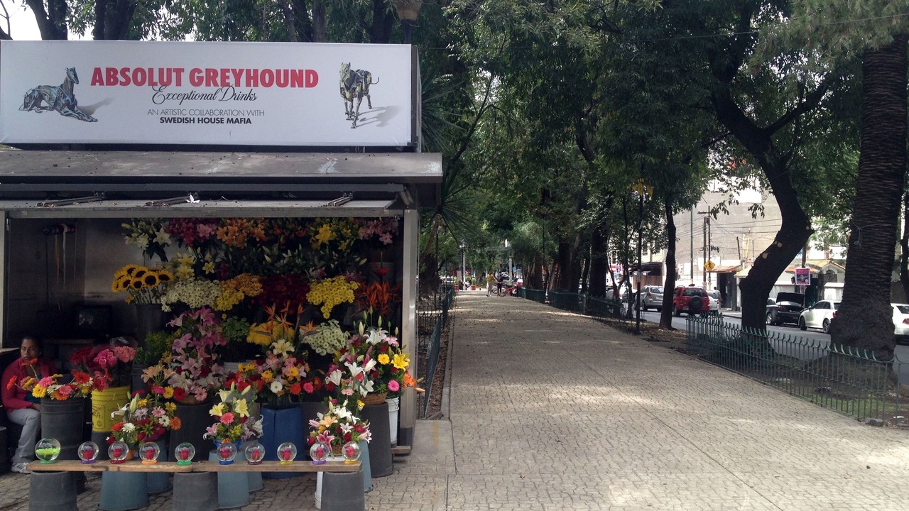 Photo of Outdoor in Hipodromo