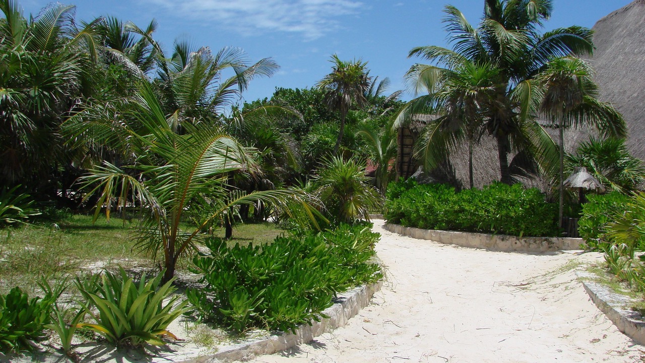 Photo of Outdoor in Playa Paraiso