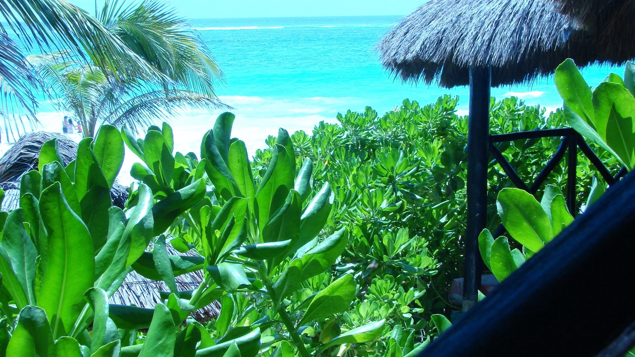 Photo of Others in Playa Paraiso