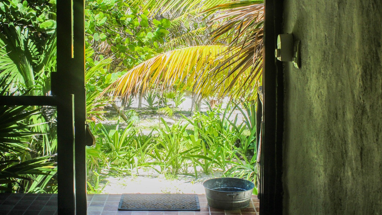 Photo of Others in Playa Paraiso