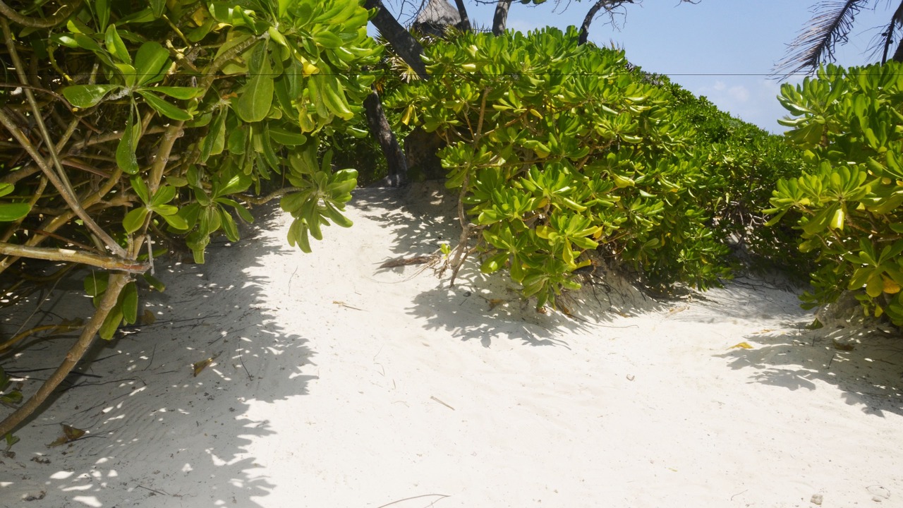 Photo of Others in Playa Paraiso