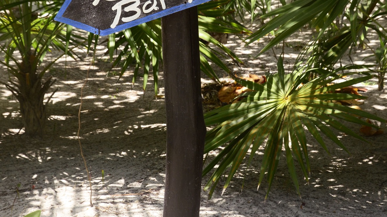 Photo of Others in Playa Paraiso