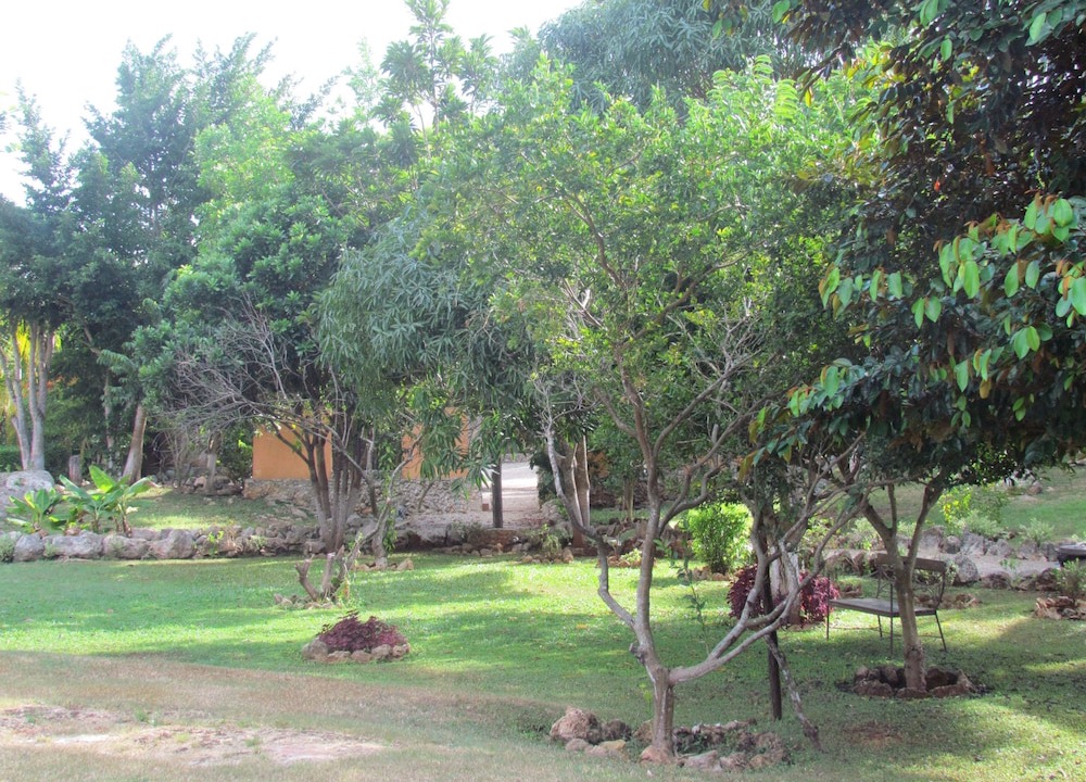 Photo of Outdoor in Tecoh