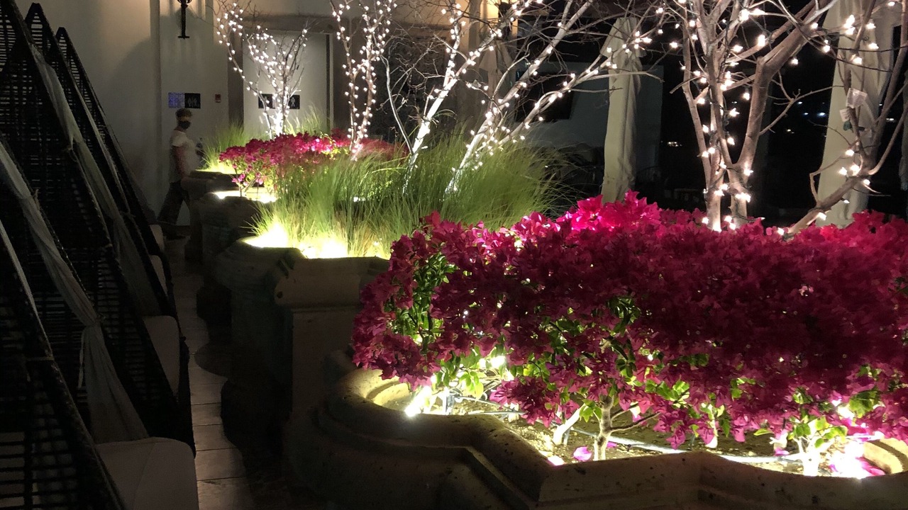 Photo of Outdoor in Cabo Bello
