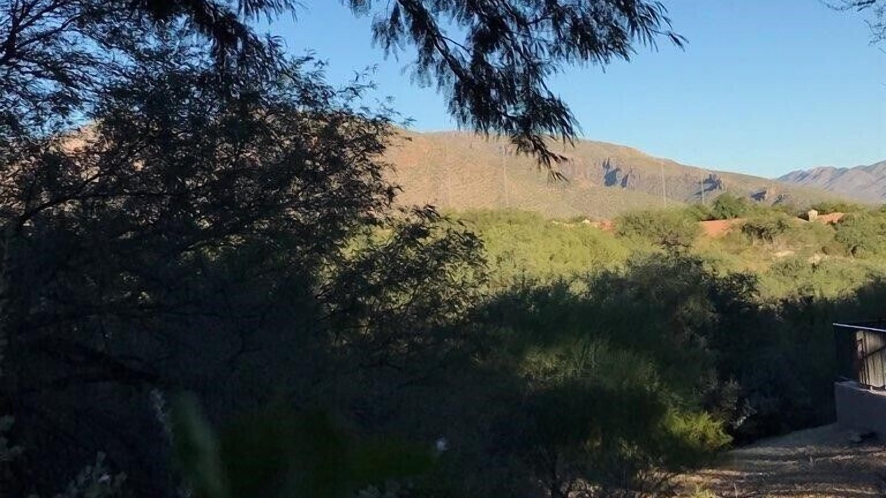 Photo of Outdoor in Tucson