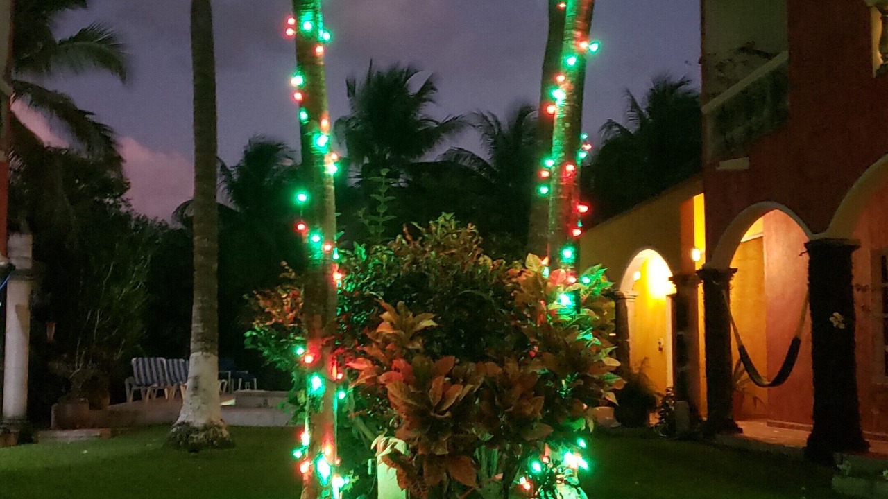 Photo of Outdoor in Colonia Centro